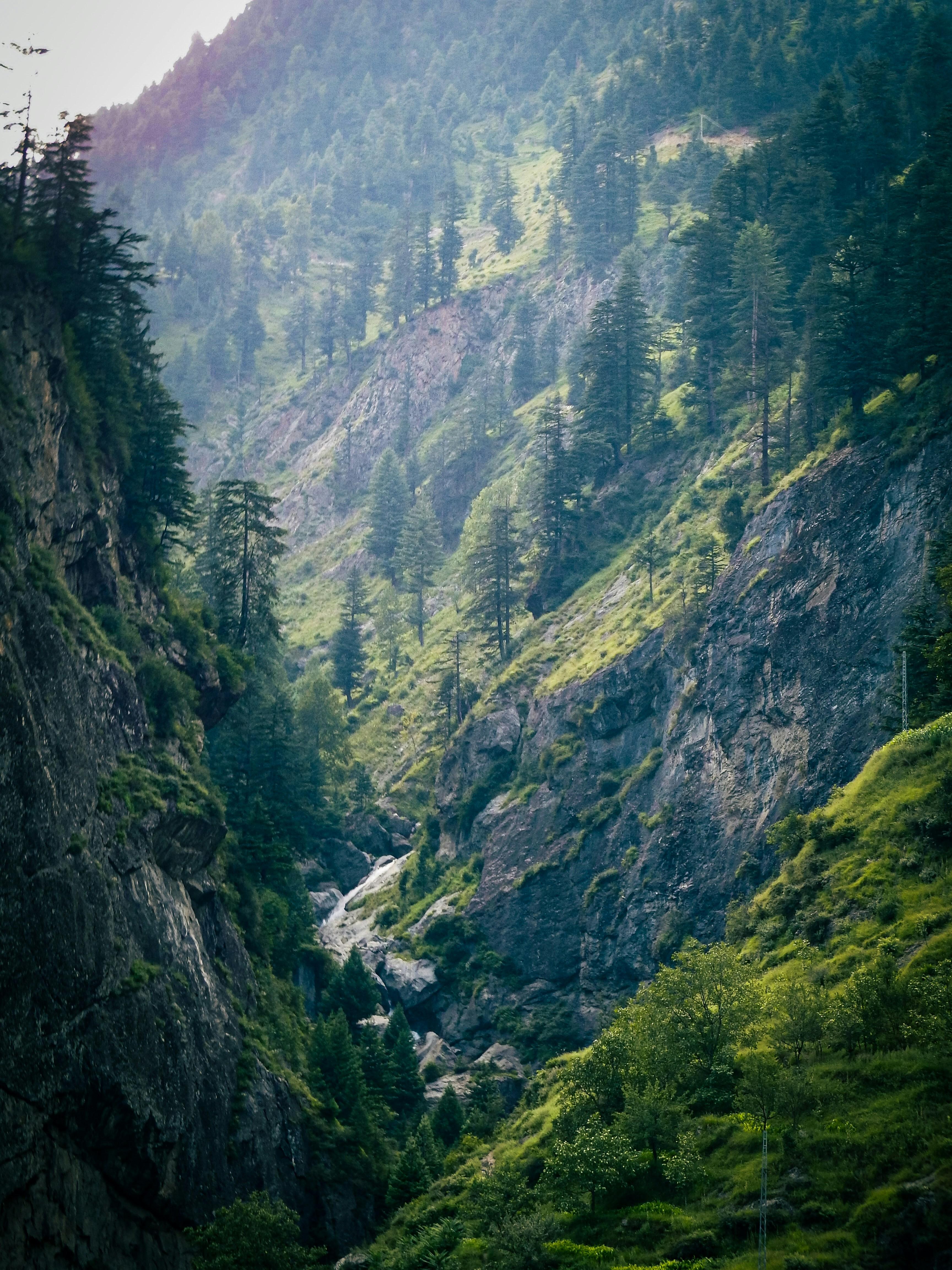Scenery